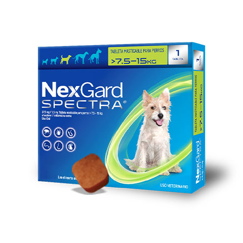 Nexgard Spectra Desparasitante Masticable Para Perro | Farmacia a domicilio CDMX | Petzer