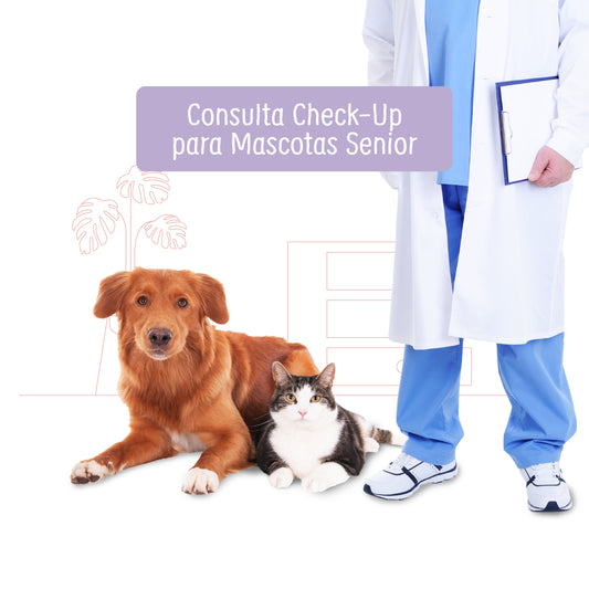 Check Up a Domicilio para Perro o Gato Senior | Servicios de salud a domicilio para mascotas | Petzer