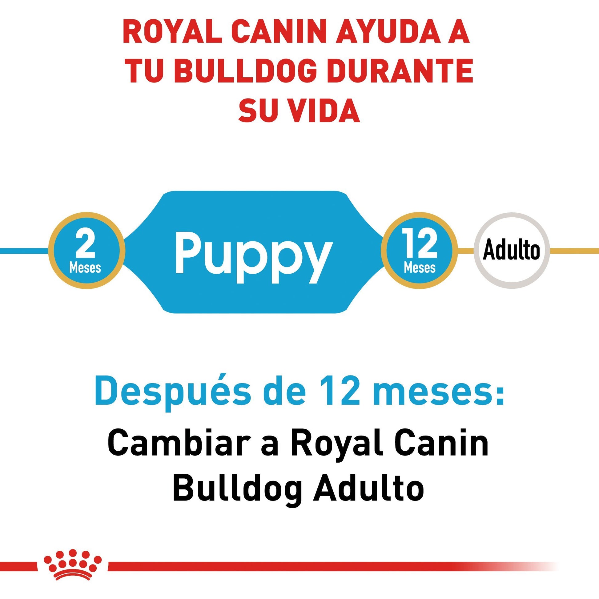 Alimento Royal Canin Bulldog Cachorro 13.6kg Alimento Seco Perros Royal Canin 