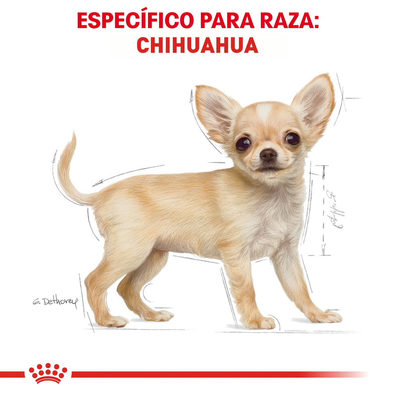 Bulto Croquetas Perro Cachorro Royal Canin Chihuahua 1.1kg | Alimento Seco Para Perros a domicilio CDMX | Disponible en Petzer.mx 