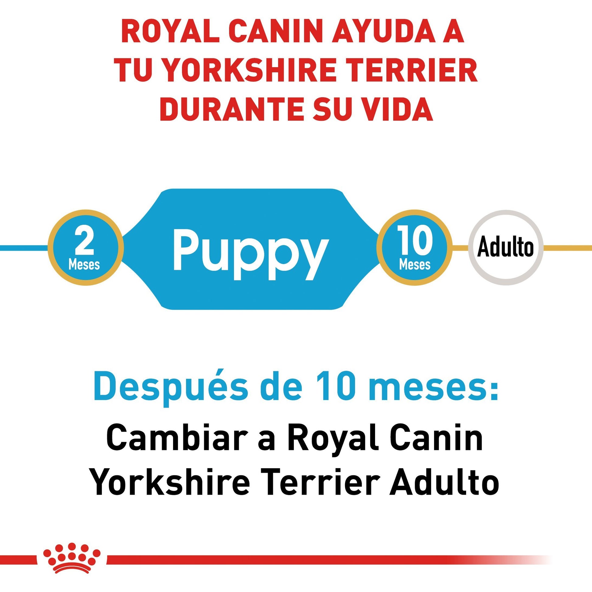 Bulto de Croquetas Perro Cachorro Royal Canin Yorkshire 1.1kg | Alimento Seco Para Perros | Disponible en Petzer.mx 
