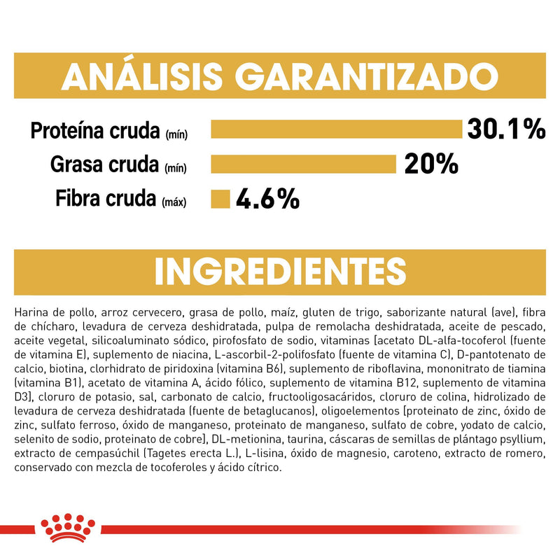 Bulto de Croquetas Gato Cachorro Royal Canin Persa 1.3kg | Alimento Seco Para Perros a domicilio CDMX | Disponible en Petzer.mx 