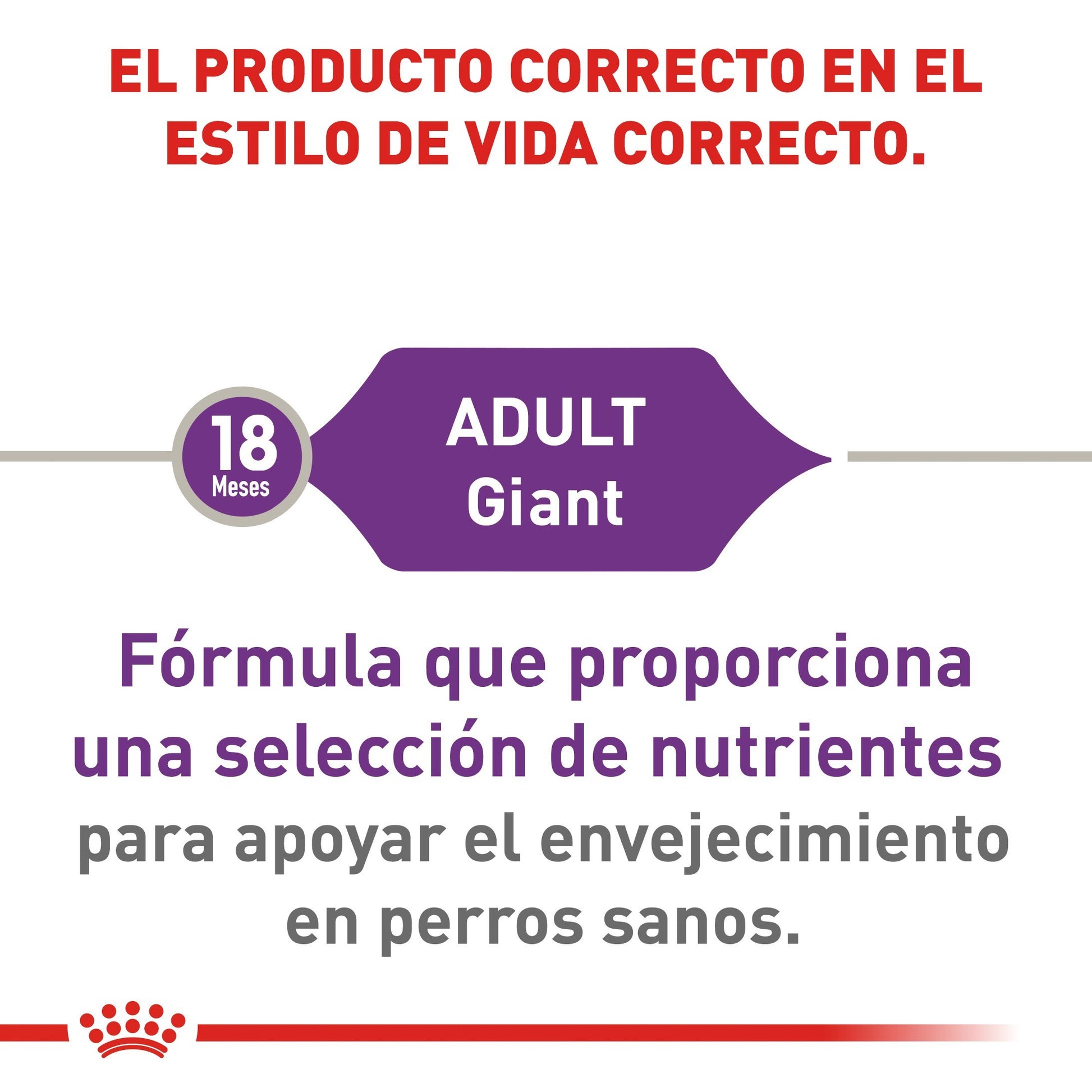 Bulto Croquetas Perro Adulto Royal Canin Razas Gigantes 15.9kg | Alimento Seco Para Perros a domicilio CDMX | Disponible en Petzer.mx 