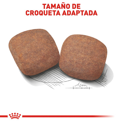 Bulto Croquetas Perro Adulto Royal Canin Razas Gigantes 15.9kg | Alimento Seco Para Perros a domicilio CDMX | Disponible en Petzer.mx 