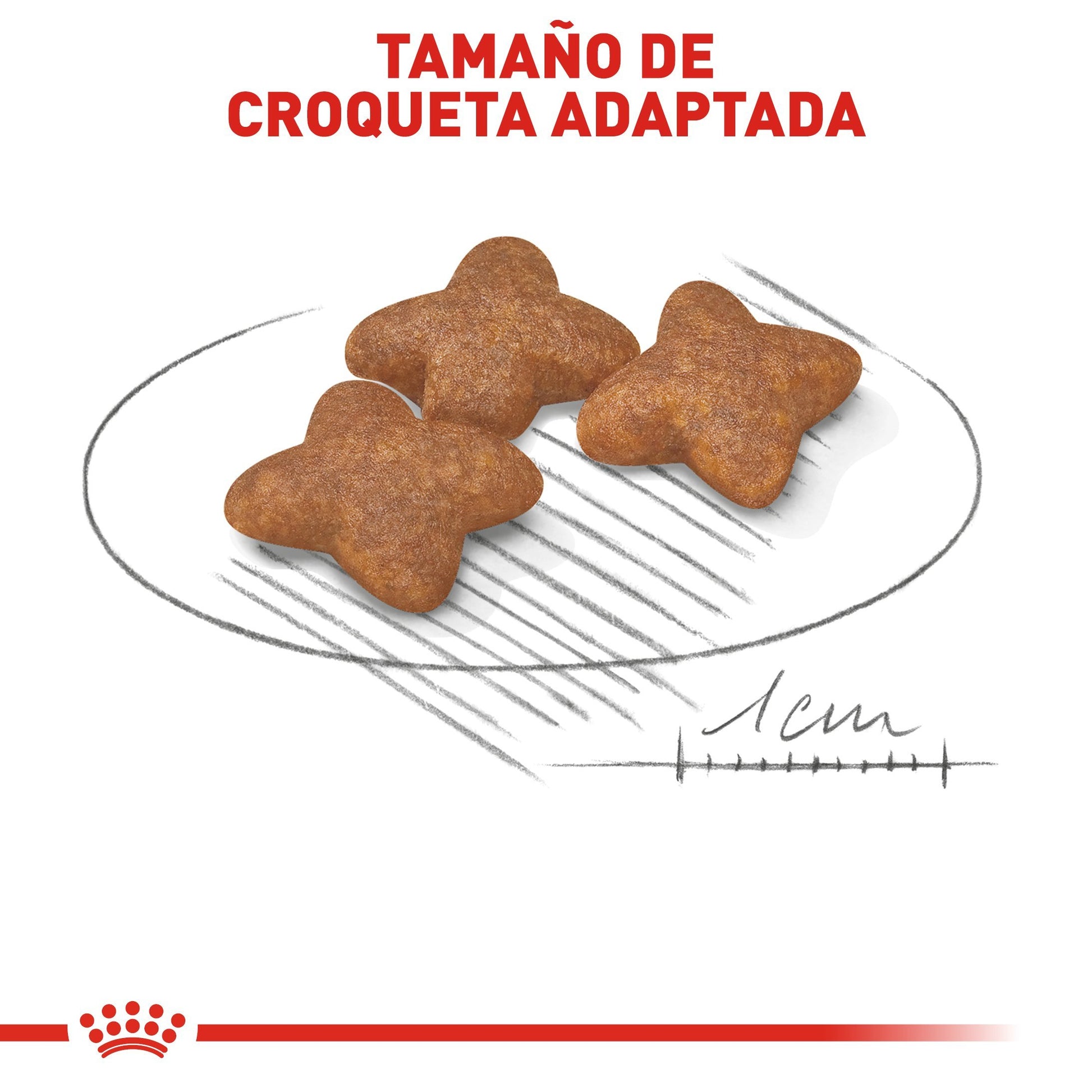 Bulto de Croquetas Perro Adulto Royal Canin Razas pequeñas 2kg | Alimento Seco Para Perros a domicilio CDMX | Disponible en Petzer.mx 