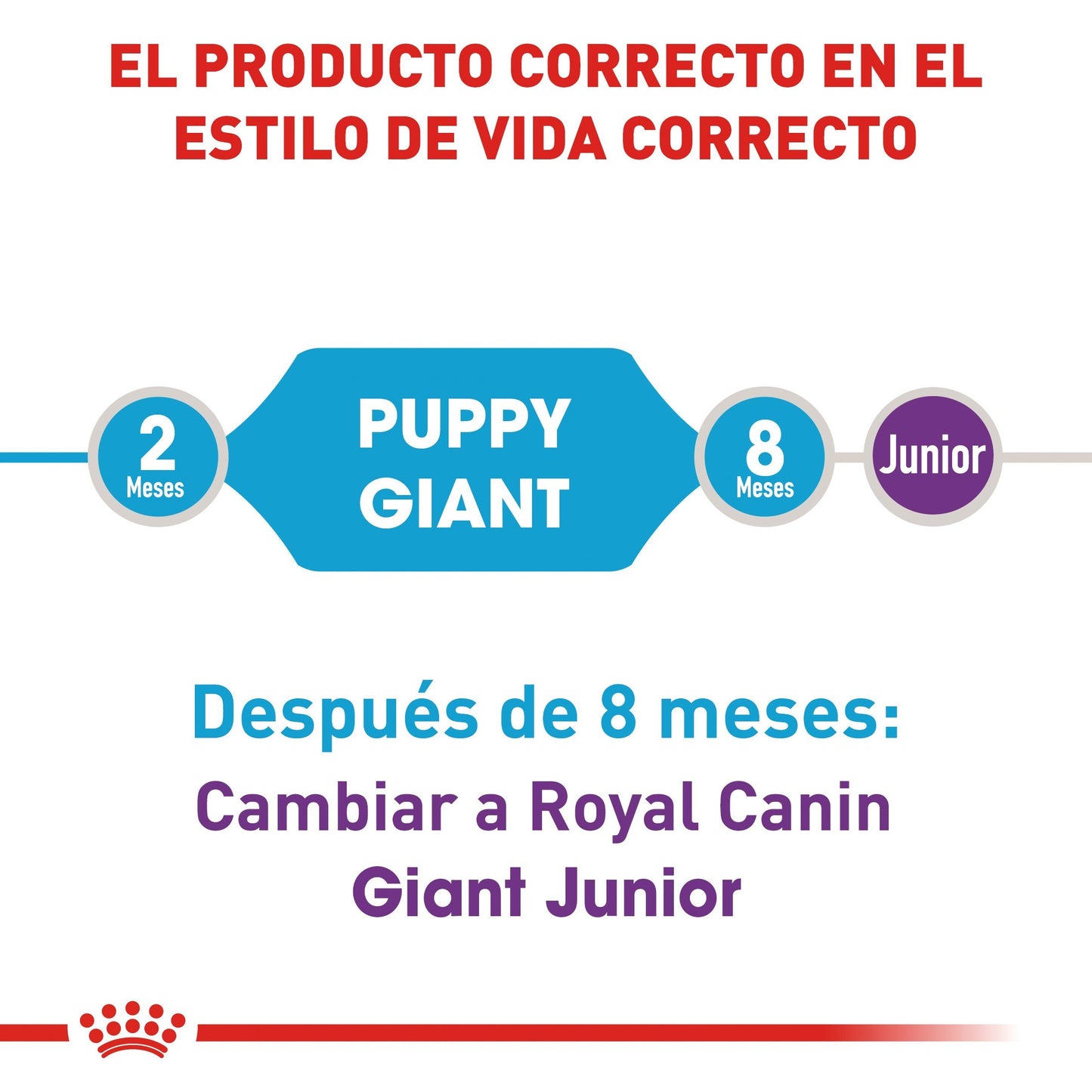 Bulto de Croquetas Perro Cachorro Royal Canin Razas Gigantes 13.6kg | Alimento Seco Para Perros a domicilio CDMX | Disponible en Petzer.mx 