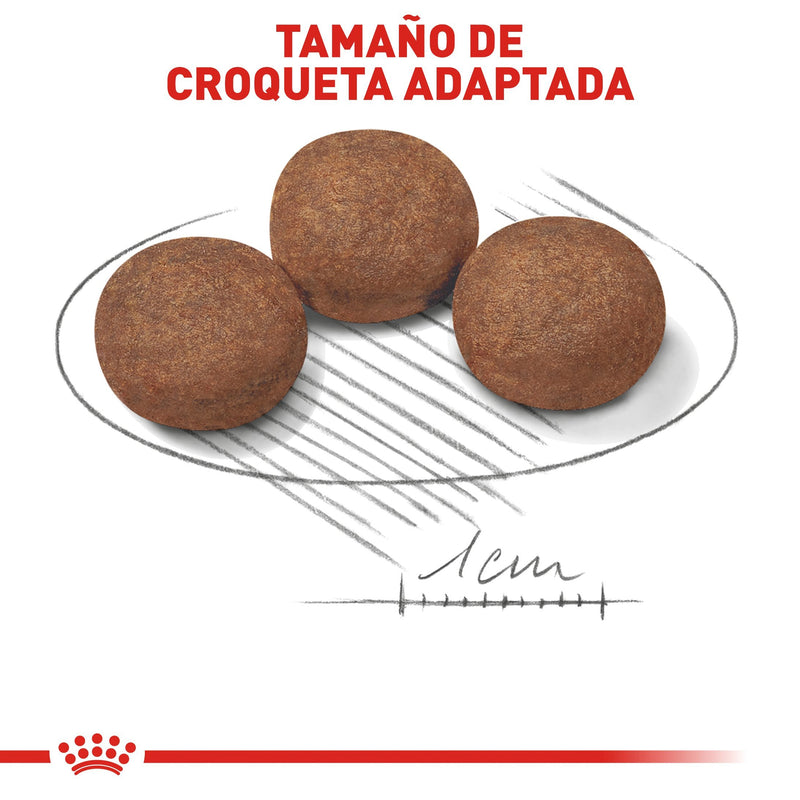 Bulto de Croquetas Perro Cachorro Royal Canin Mediano 13.6kg  | Alimento Seco Para Perros a domicilio CDMX | Disponible en Petzer.mx 