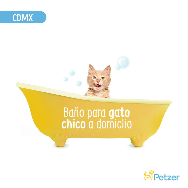Baño a Domicilio para Gato Chico de Pelo Corto o Cachorro CDMX | Servicios de estética a domicilio para mascotas | Petzer