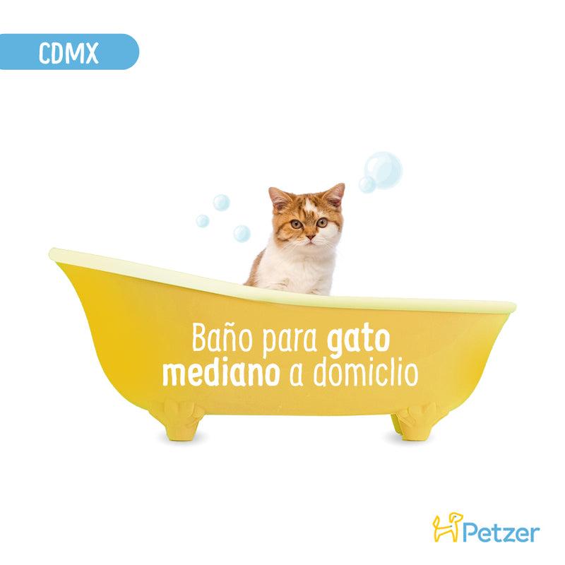 Baño a Domicilio para Gato Mediano de Pelo Corto CDMX | Servicios de estética a domicilio para mascotas | Petzer