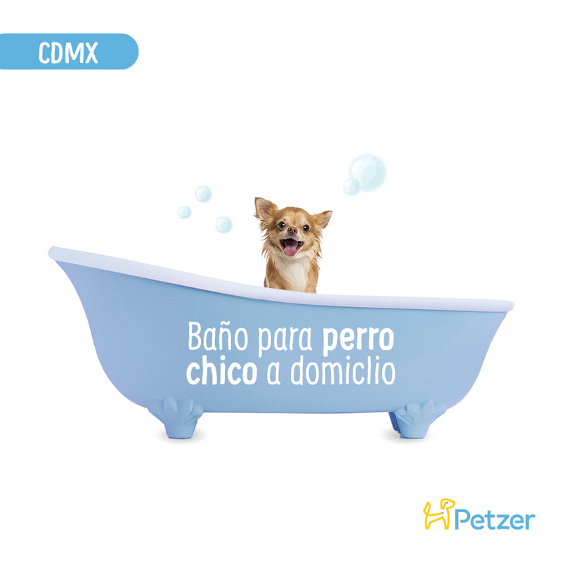 Baño a Domicilio para Perro Chico de Pelo Corto o Cachorro CDMX | Estilistas para mascotas a domicilio | Petzer