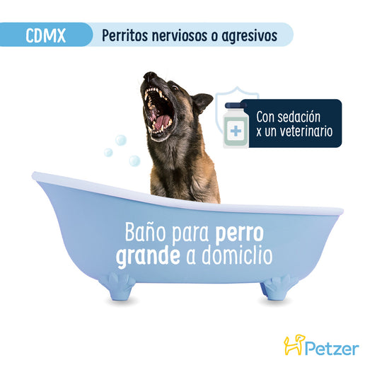 Baño a Domicilio para Perro Grande Nervioso o Agresivo CDMX | Servicio de estética a domicilio para mascotas | Petzer