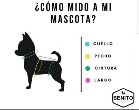 Disfraz de Duende Navideño para Perro o Gato Benito Moda | Envío a domicilio CDMX | Disponible en Petzer 