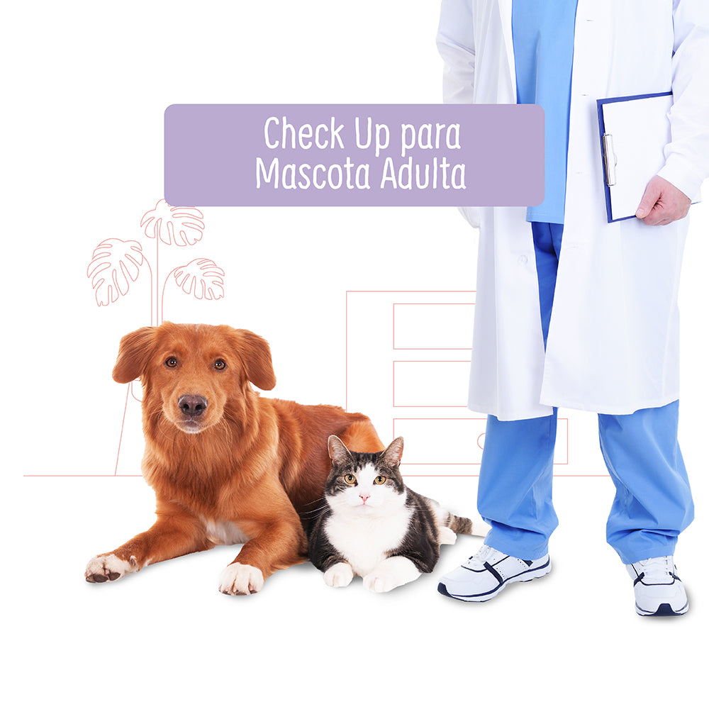 Check Up Anual para Perro o Gato Adulto | Servicios de salud a domicilio para mascotas | Petzer