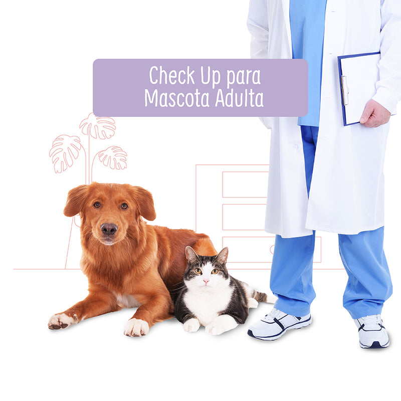 Check Up Anual para Perro o Gato Adulto | Servicios de salud a domicilio para mascotas | Petzer