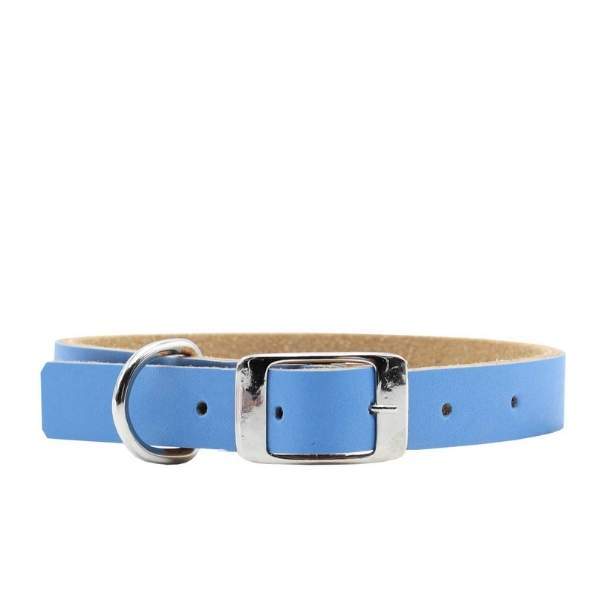 Collares para Perro o Gato Fun Colors Julia & Bruno Baby Blue | Envío a domicilio CDMX | Disponible en Petzer
