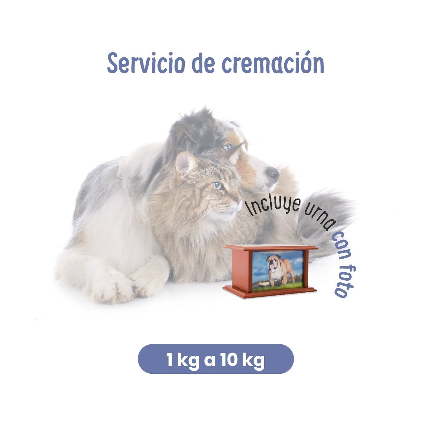 Servicios Funerarios para Mascotas | Cremación Presencial | Petzer