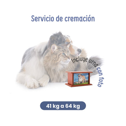 Servicios Funerarios para Mascotas |  Servicio de Cremación | Petzer