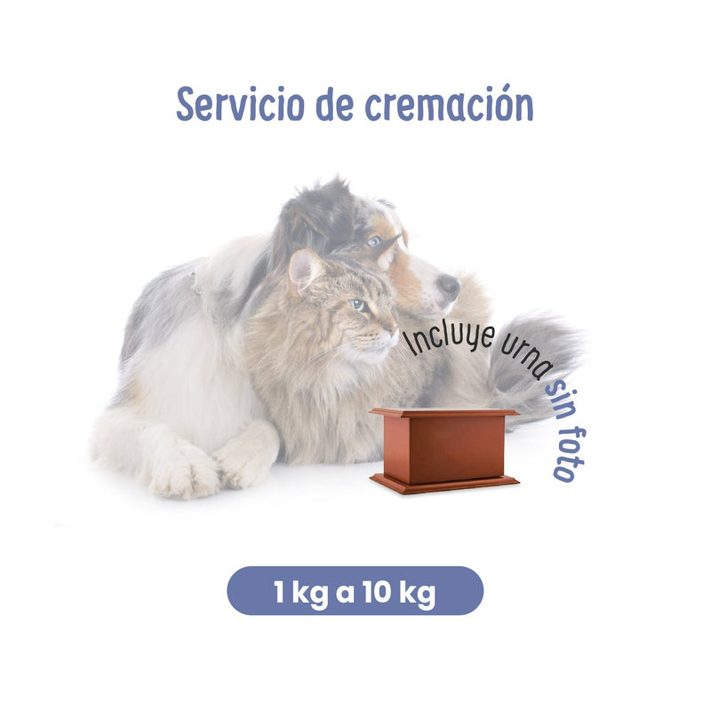 Servicios Funerarios para Mascotas |  Servicio de Cremación | Petzer