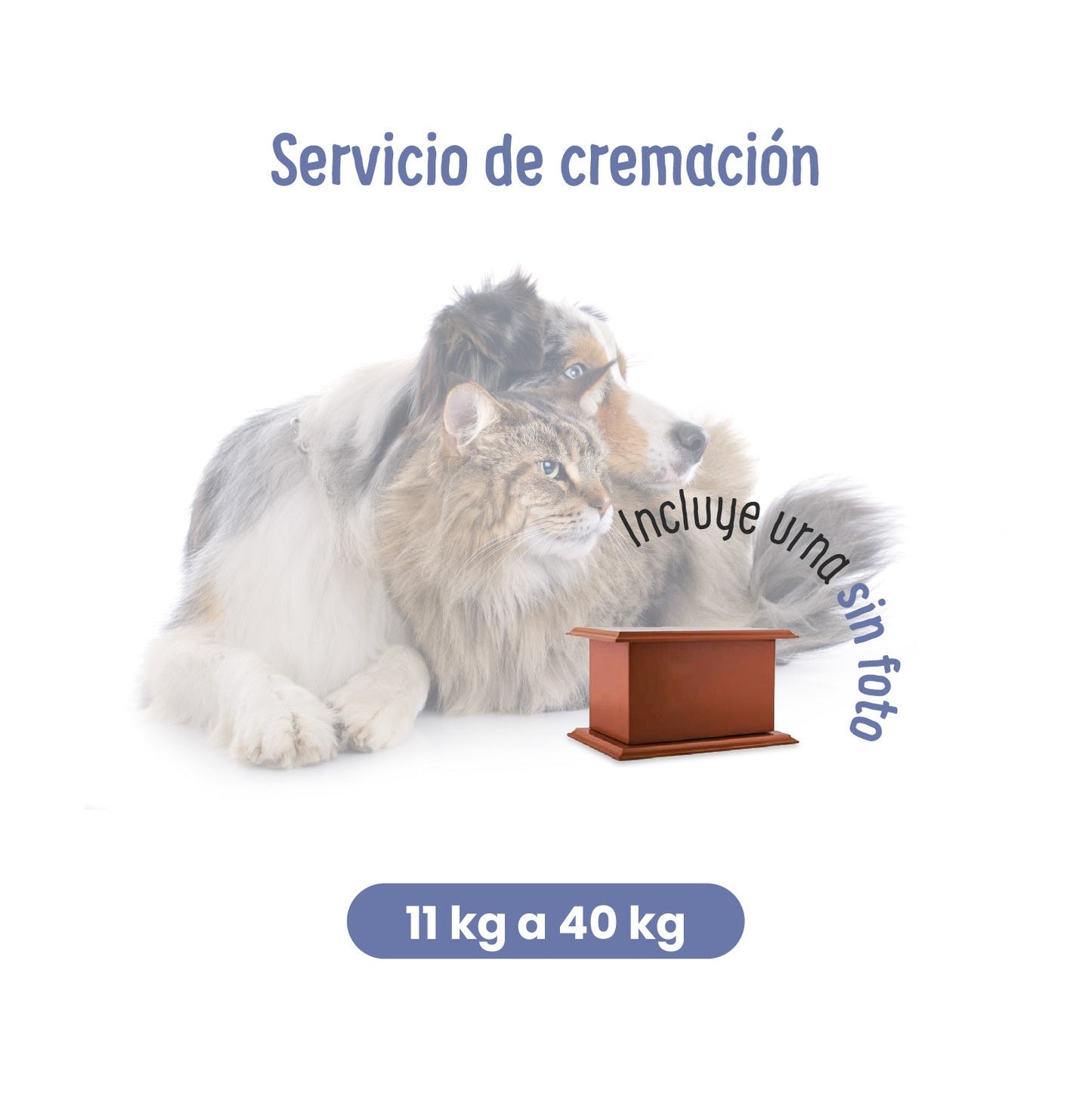 Servicios Funerarios para Mascotas |  Servicio de Cremación | Petzer