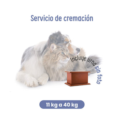 Servicios Funerarios para Mascotas | Cremación Presencial | Petzer