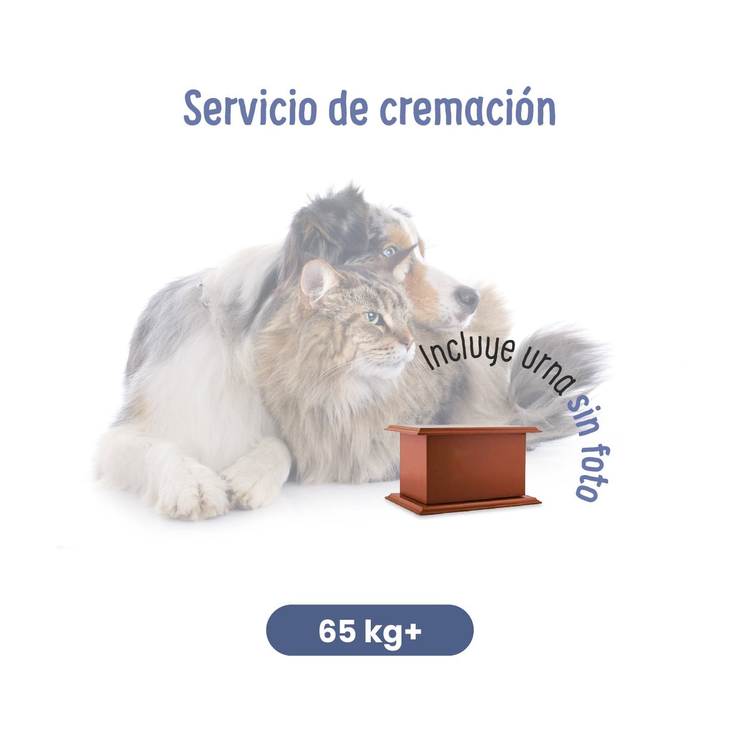 Servicios Funerarios para Mascotas |  Servicio de Cremación | Petzer