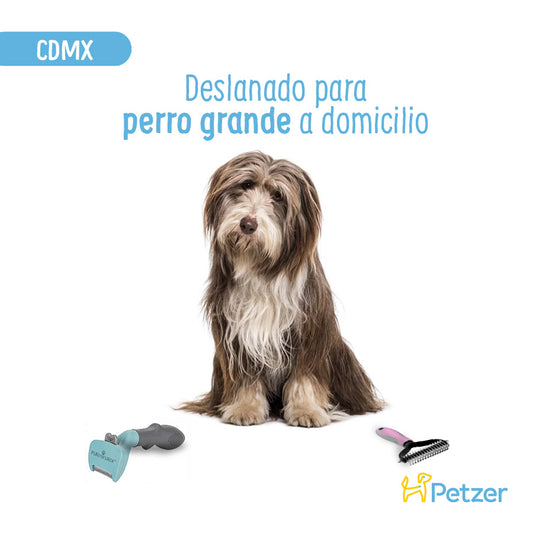 Baño y Deslanado a Domicilio para Perro Grande | Servicios de estética a domicilio para mascotas | Petzer
