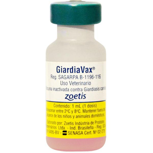 Vacunación Contra Giardiasis para Perro por MVZ Petzer a Domicilio Vacuna Petzer© 