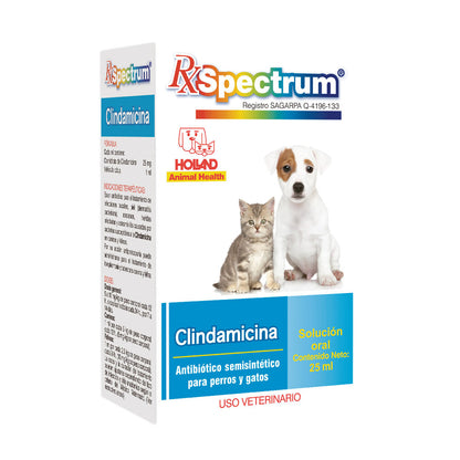 Antibiótico Rx Spectrum | Clindamicina