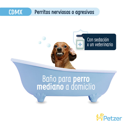 Baño a Domicilio para Perro Mediano Nervioso o Agresivo | CDMX | Estilistas para mascotas a domicilio | Petzer