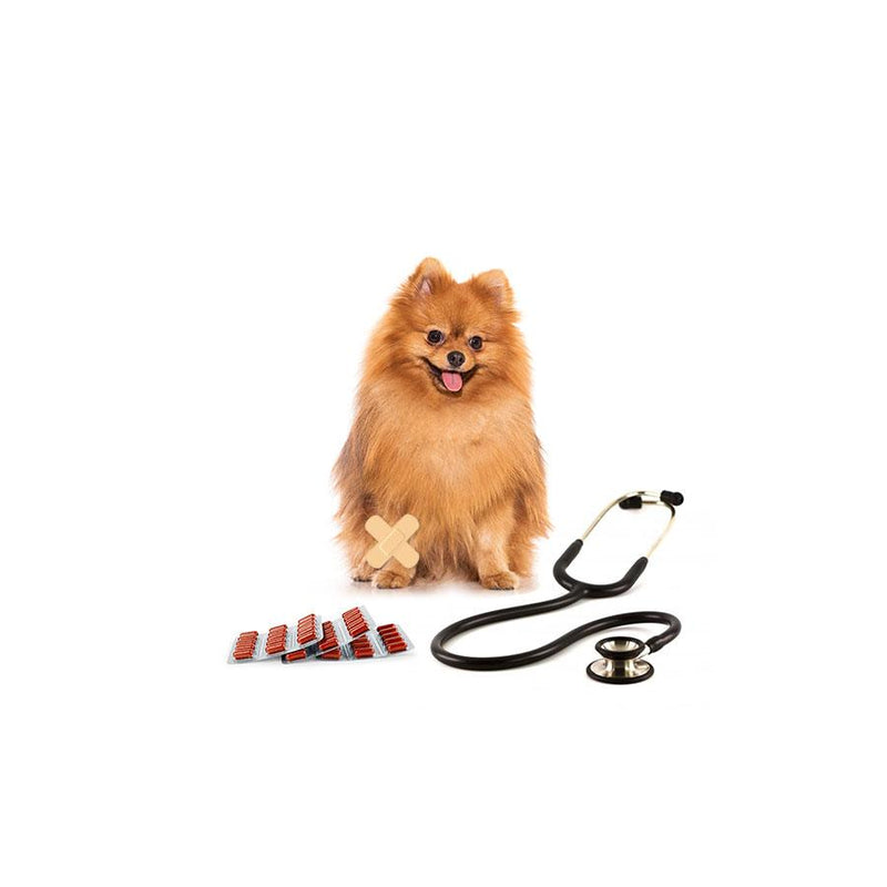 Petzer ALFA Membresía VIP para Perros Pequeños o Minis | Membresías para mascotas | Petzer